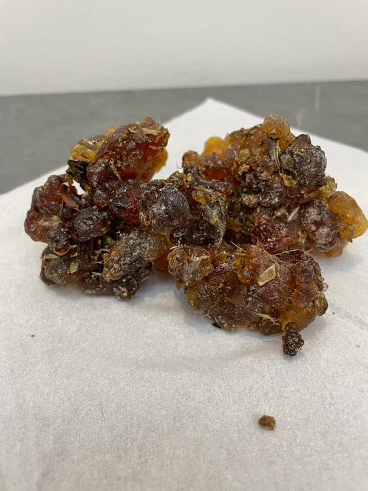 Myrrh commiphora kua from Socotra Island