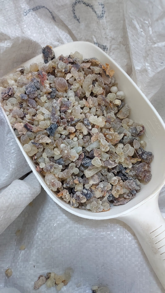 Mixed hojari boswellia sacra frankincense small 30kg