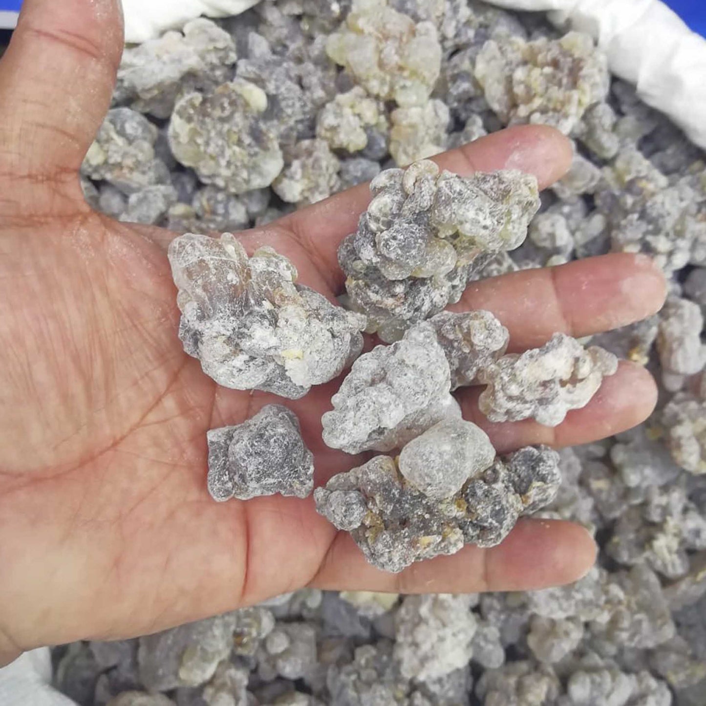 Hojari frankincense resins incense