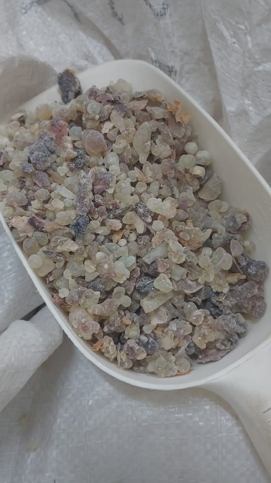 Mixed hojari boswellia sacra frankincense small 30kg