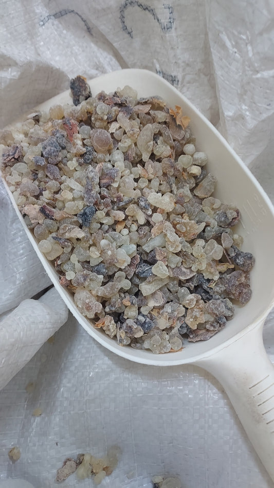 Mixed hojari boswellia sacra frankincense small 30kg